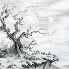 Tree – Pencil on Paper