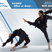 Ad for Zen Dojo for Martial Arts